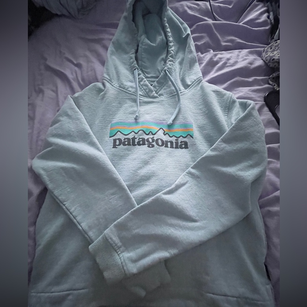 Patagonia hoodie